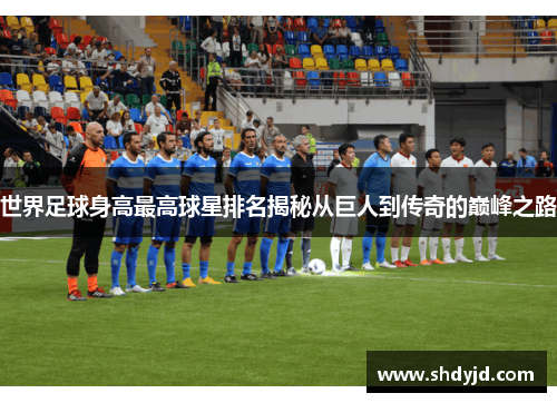 世界足球身高最高球星排名揭秘从巨人到传奇的巅峰之路