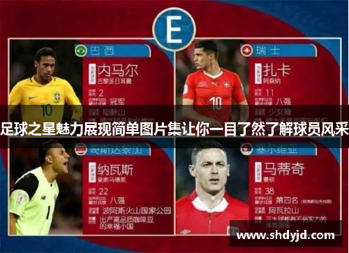 足球之星魅力展现简单图片集让你一目了然了解球员风采