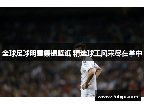 全球足球明星集锦壁纸 精选球王风采尽在掌中